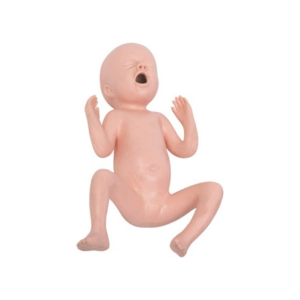 Modelo de bebé prematuro de veinticuatro/treinta semanas QH FT331B