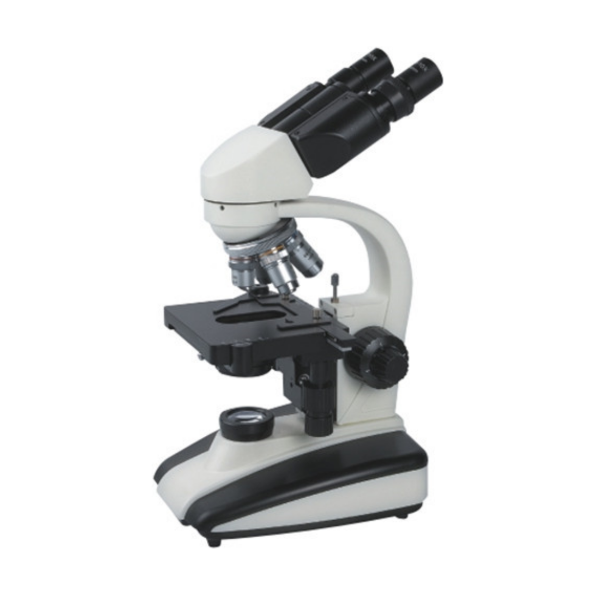 Microscopio XSP-136C