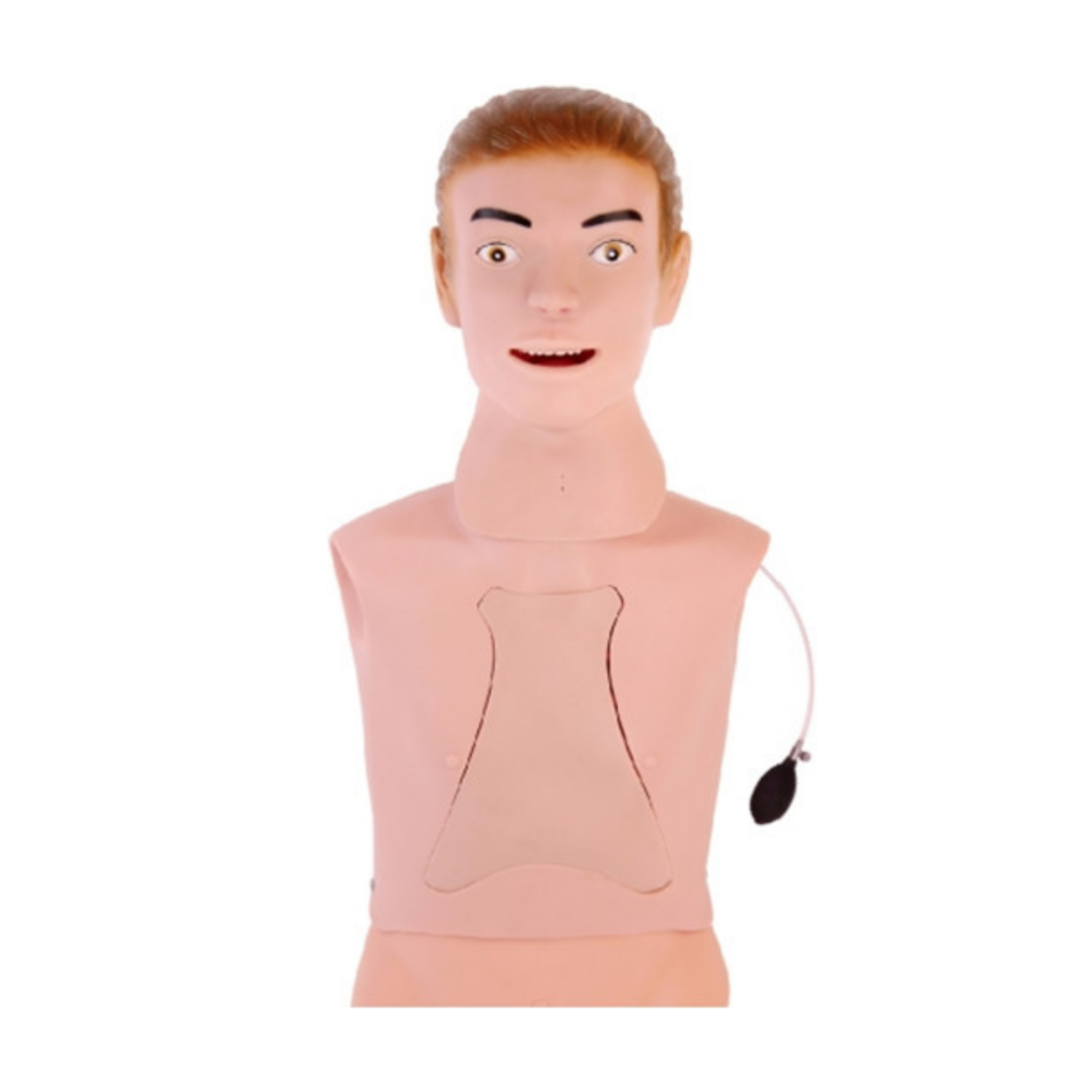Maniquí de intubación traqueal QH 80