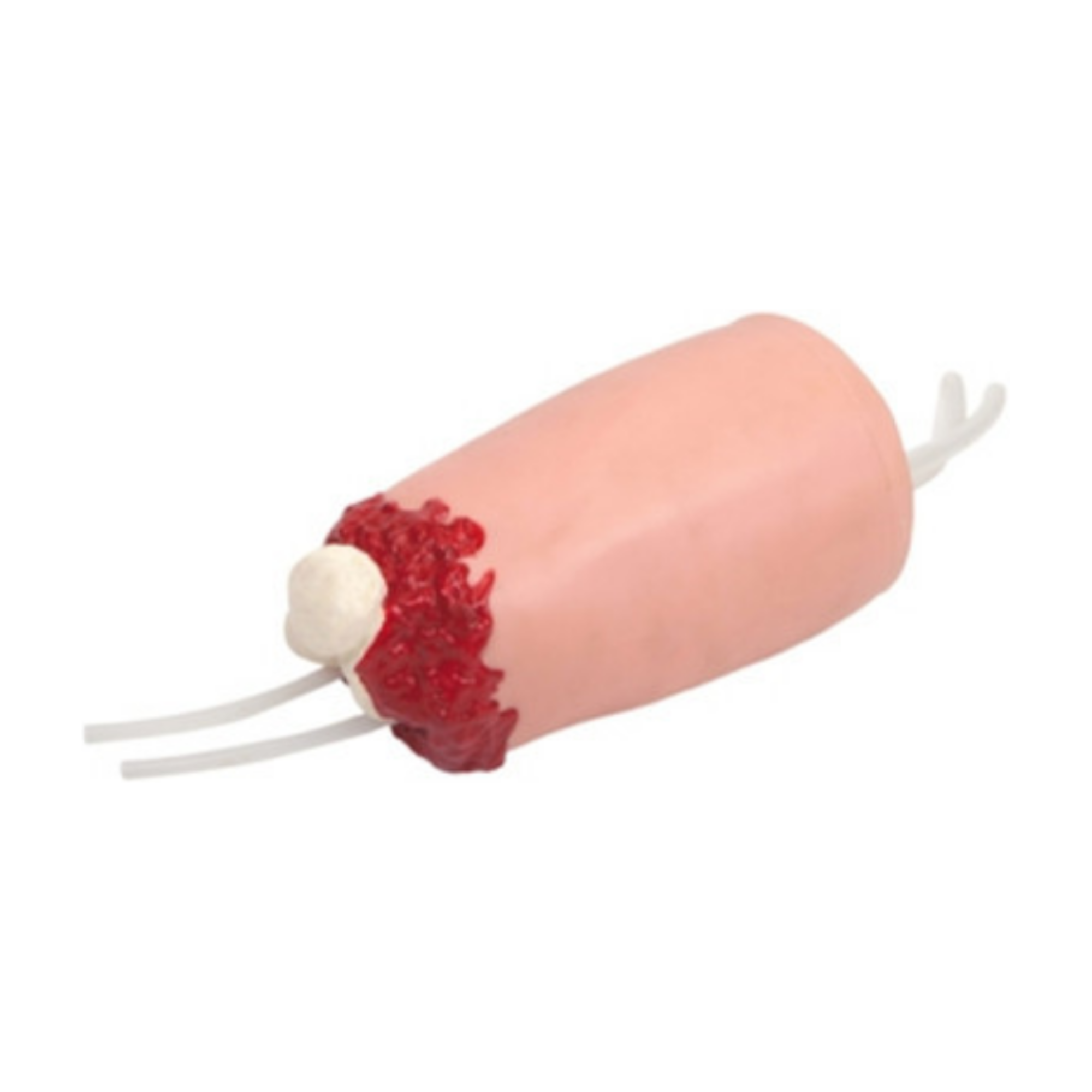 Modelo de hemostasia y amputación de la extremidad inferior QH H3008