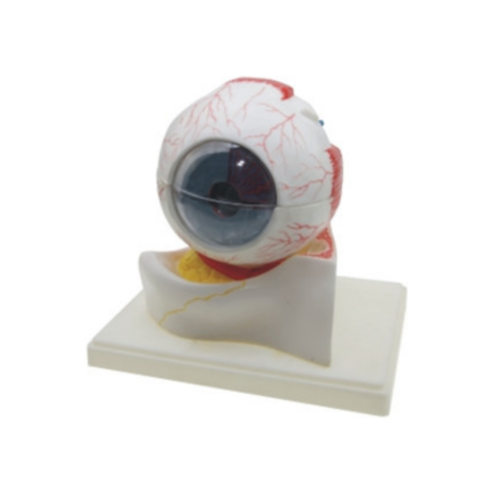 Ojo en órbita QH 3309-6