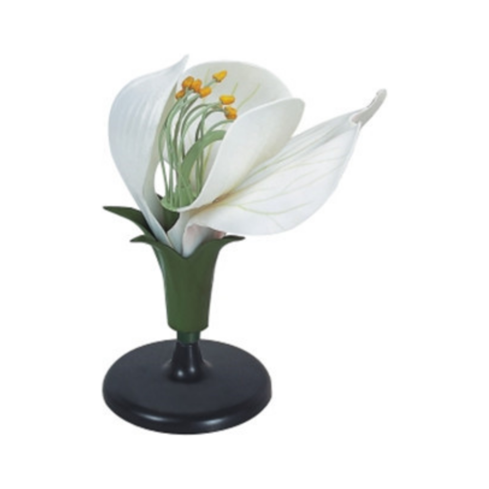 Modelo de flor de guisante QH 3207-6