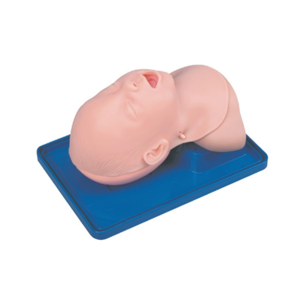 Modelo de intubación traqueal infantil QH 3A 