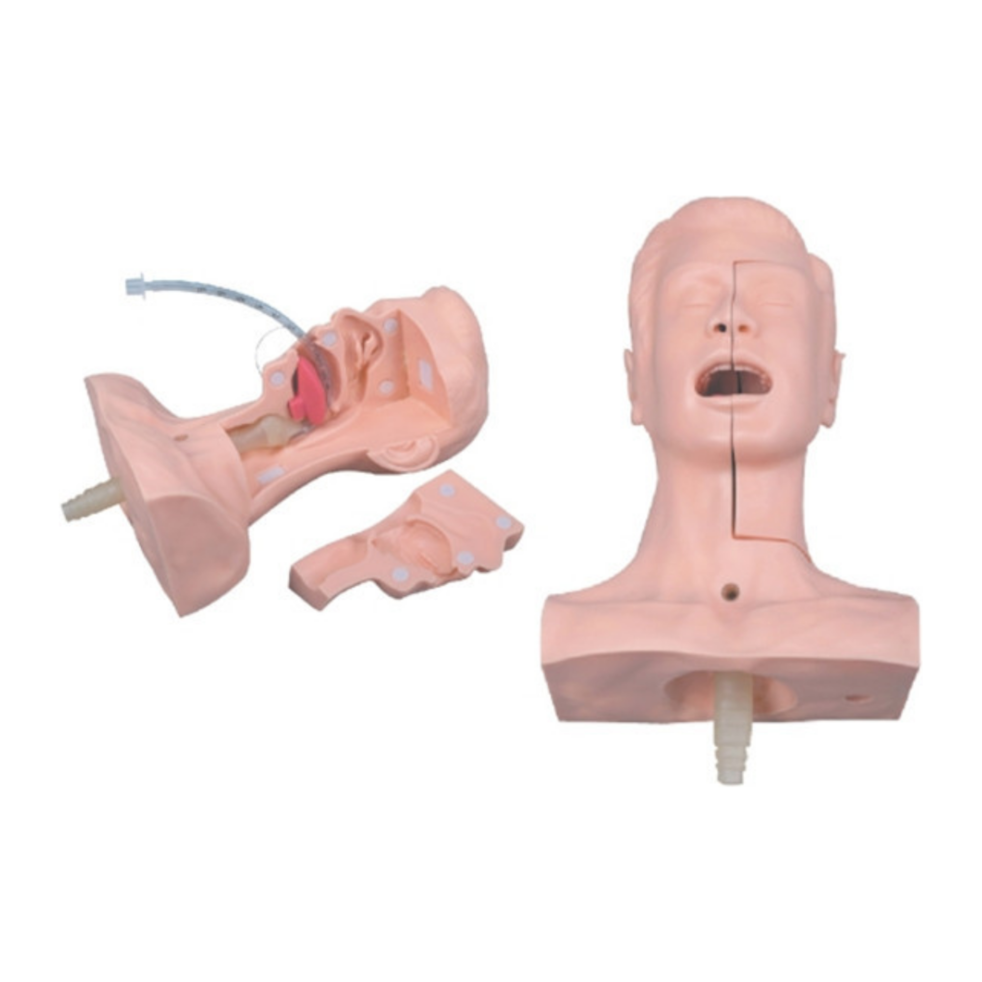 Maniquí de succión QH 60