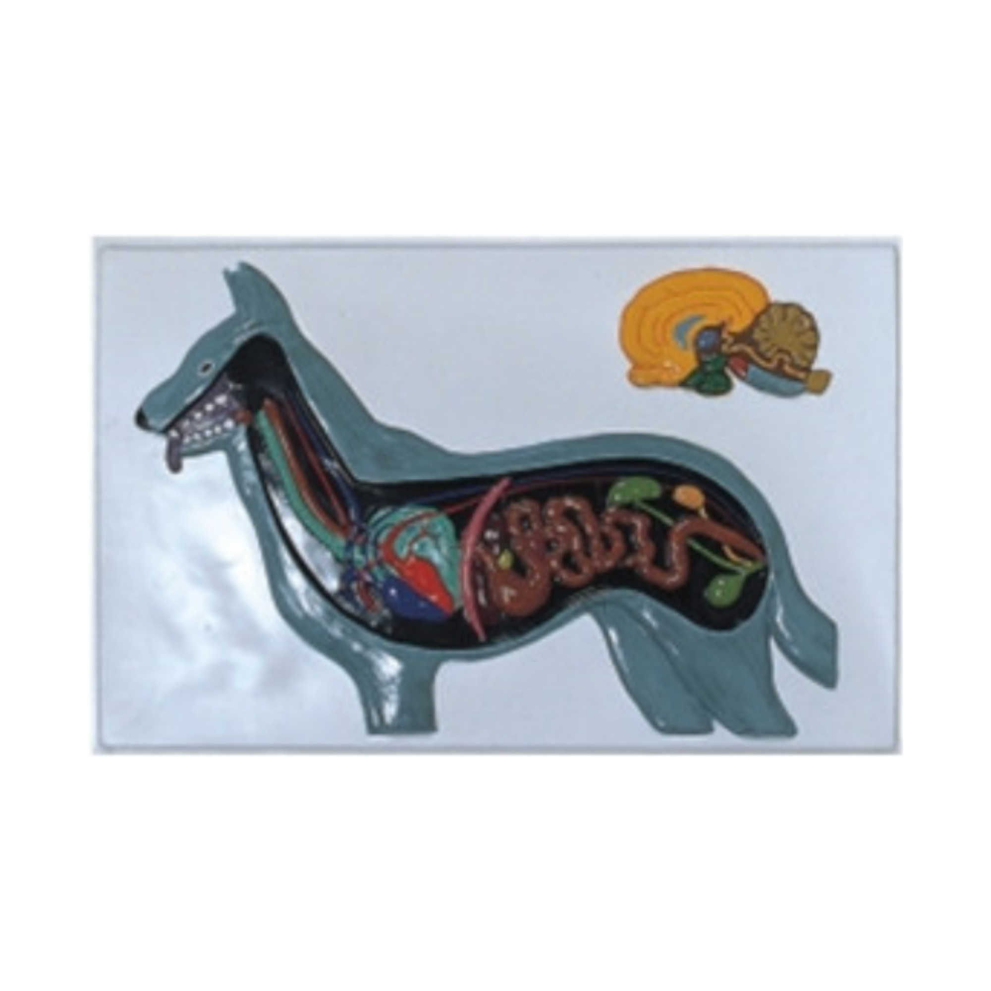 Modelo en relieve del perro QH 1570