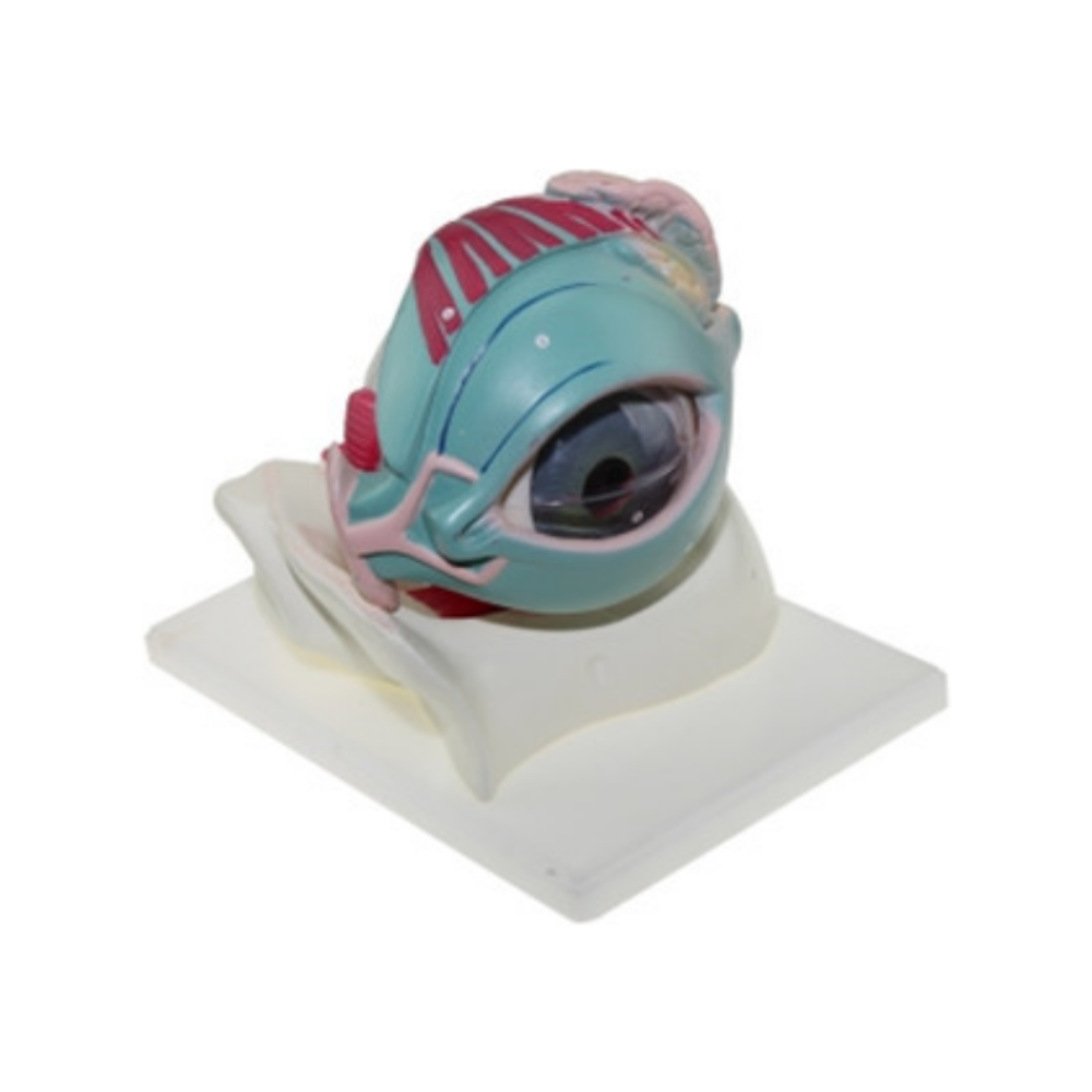Ojo en órbita QH 3309-5