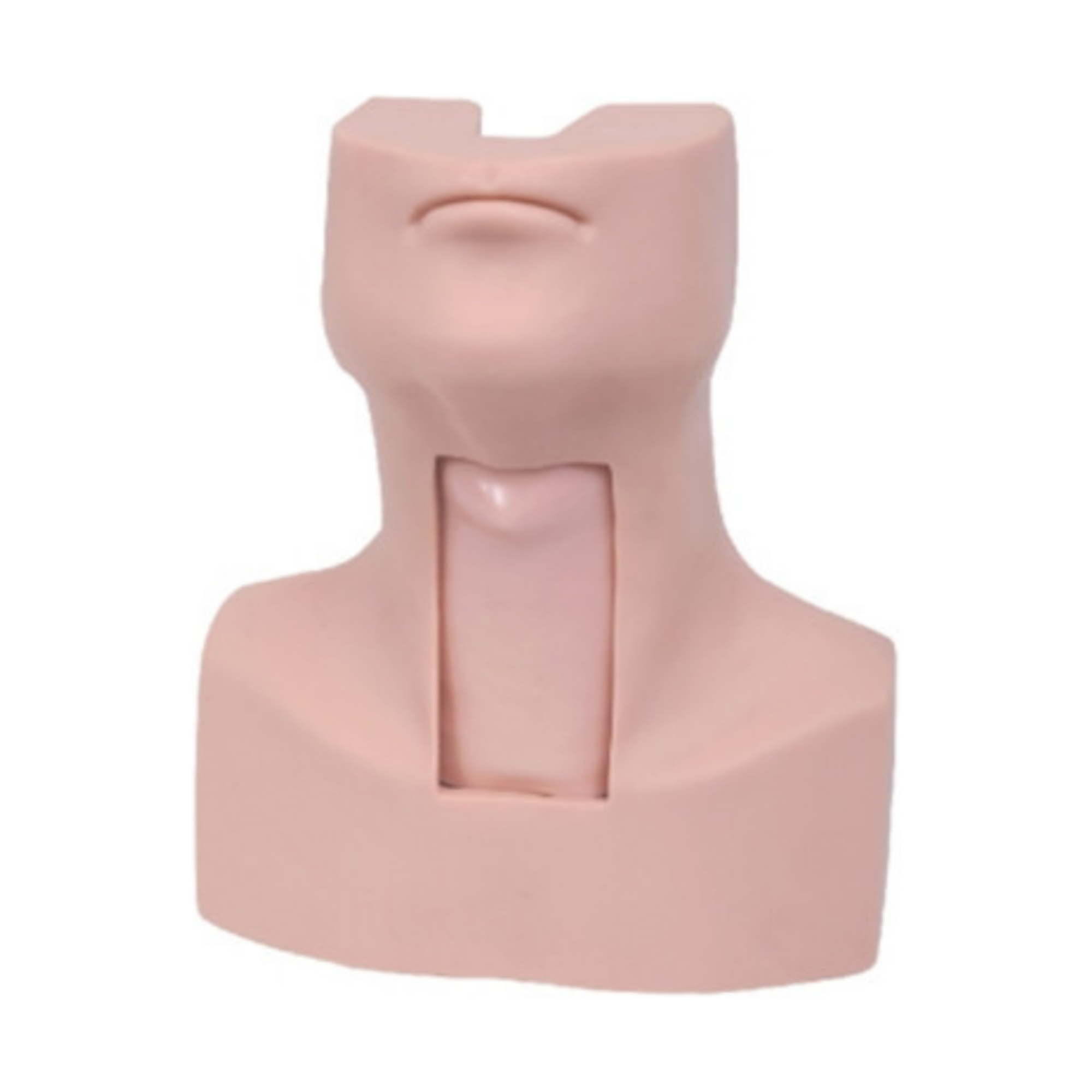 Maniquí de traqueotomía QH 58