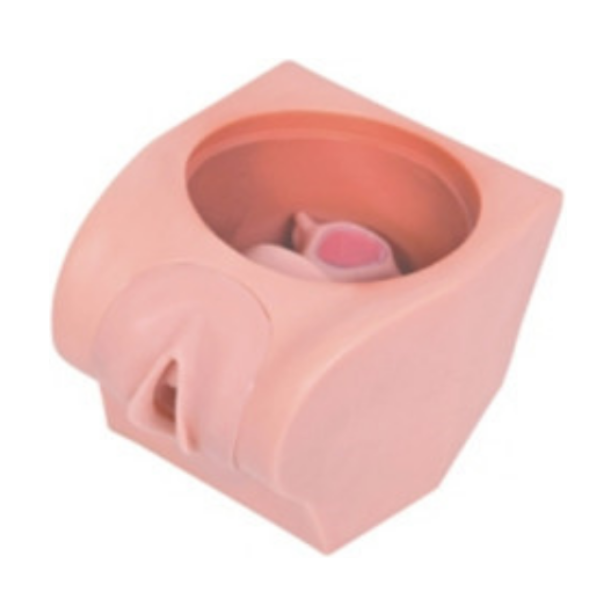 Simulador de anticoncepción femenina QH T33B