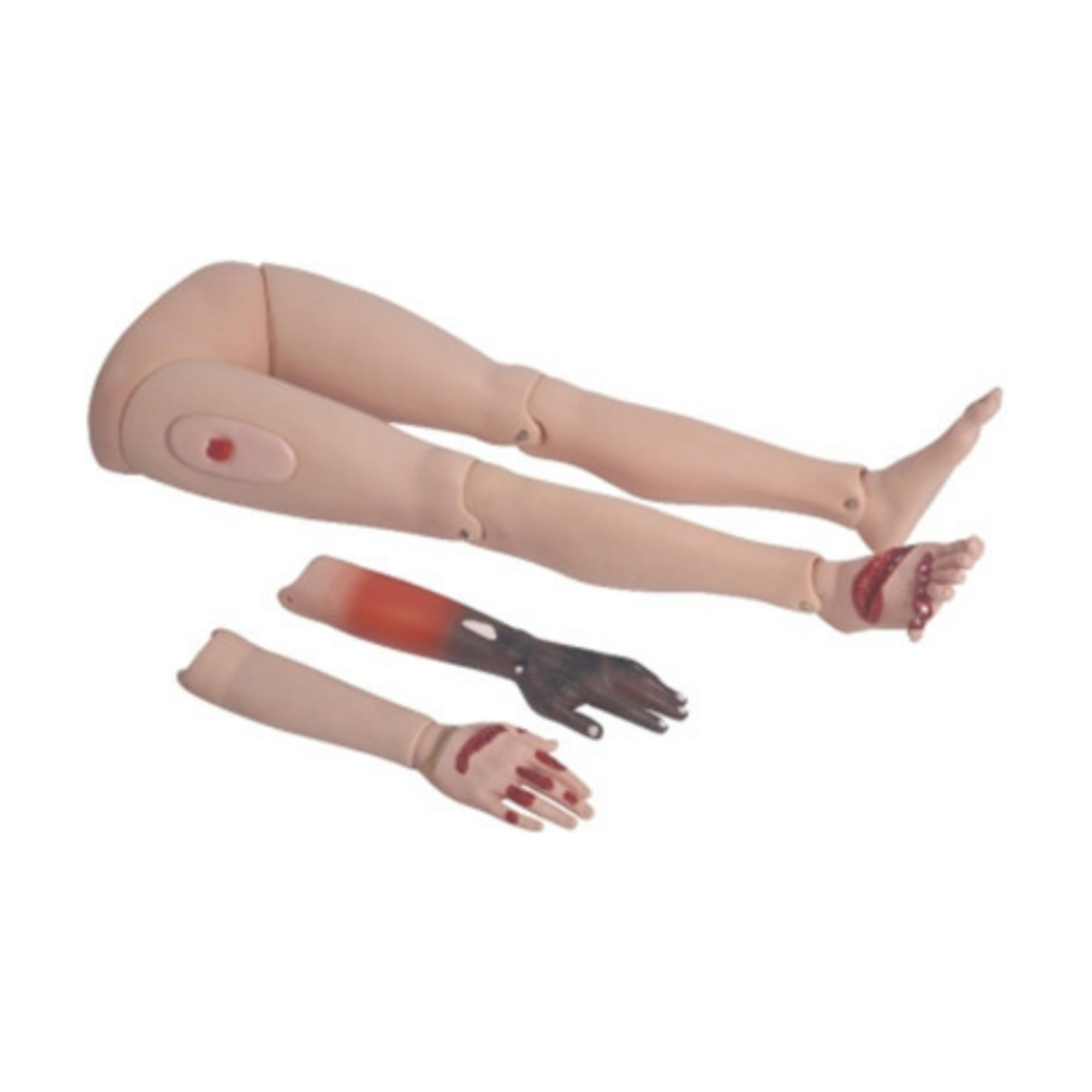Extremidades del maniquí de trauma QH G110-4