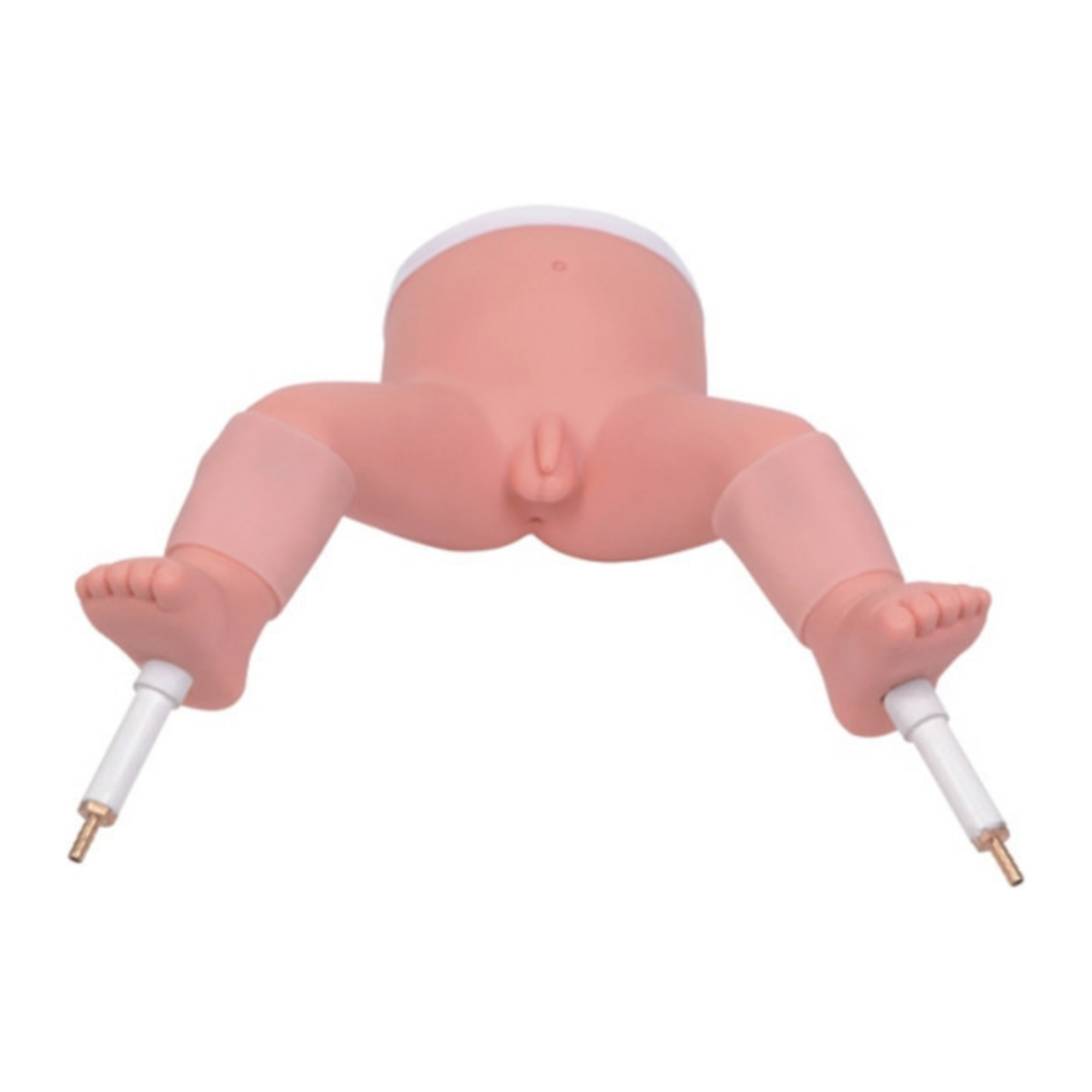 Modelo de punción de médula ósea infantil QH L65B