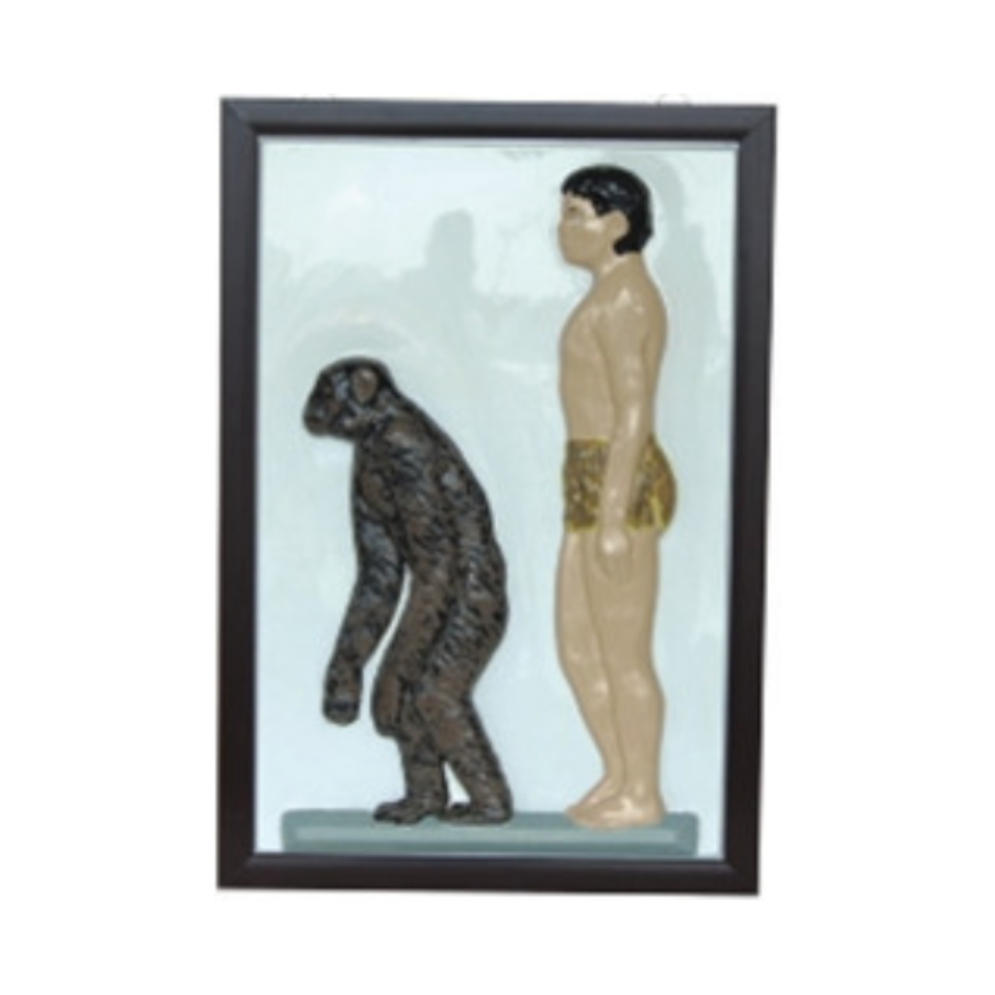Modelo en relieve del ser humano y del simio QH 1589