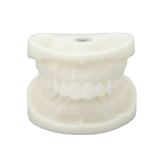 Modelo de dentadura #4