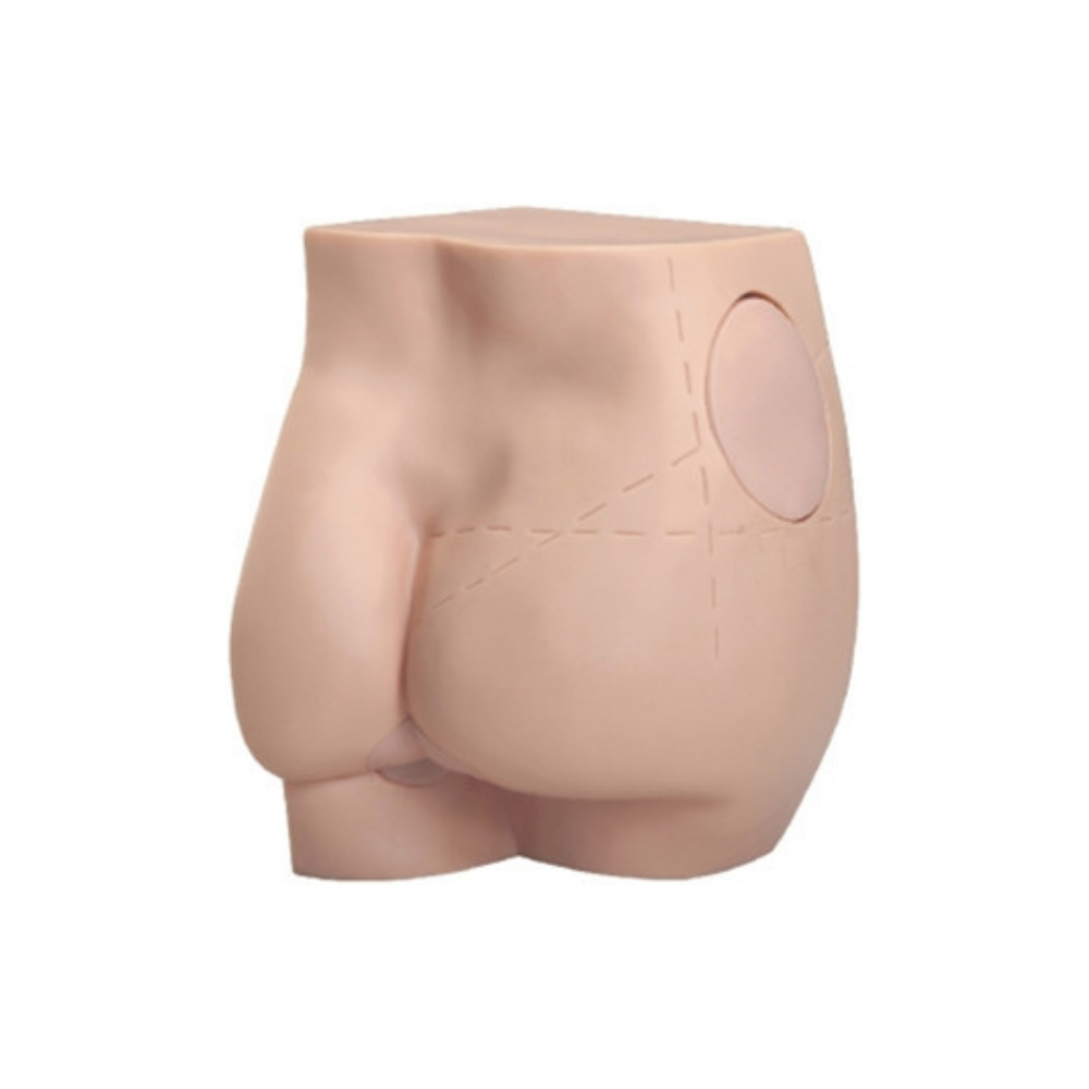 Modelo de inyección intramuscular en glúteos QH T1