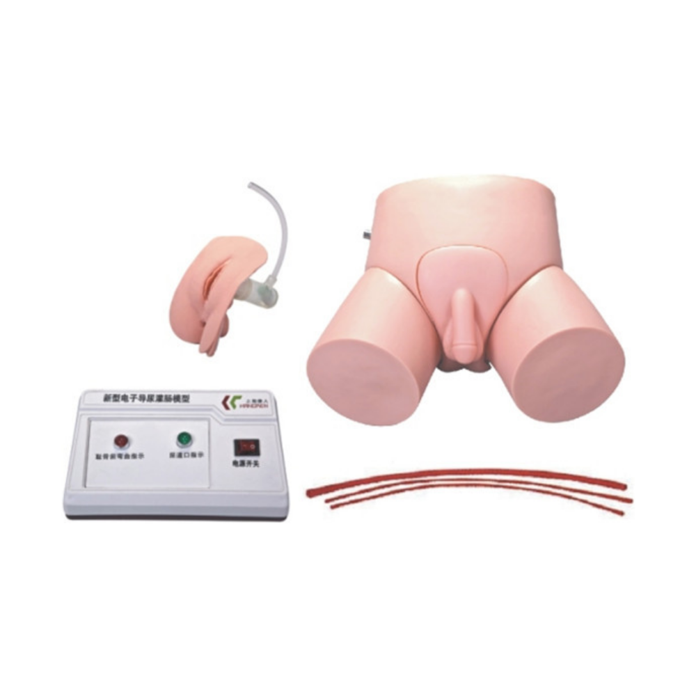 Modelo electrónico de cateterismo uretral y enema QH D