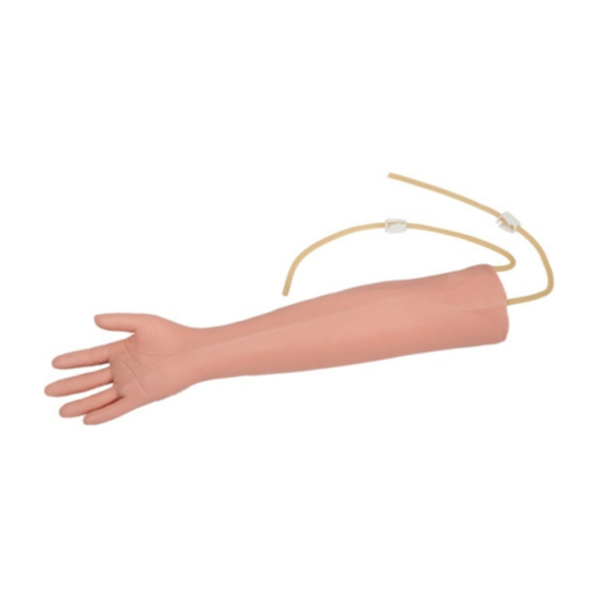 Brazo para entrenamiento de venopunción QH S13