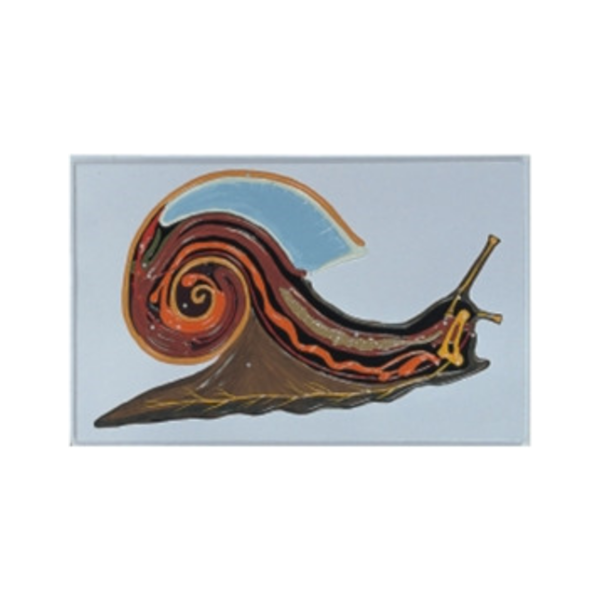 Modelo en relieve del caracol QH 1571